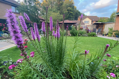 landscaping-scaled19