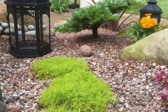 landscaping-scaled32