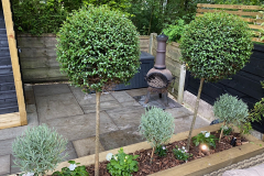 landscaping-scaled41