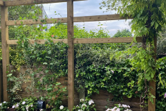 landscaping-scaled45
