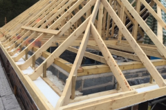 timber-scaled9